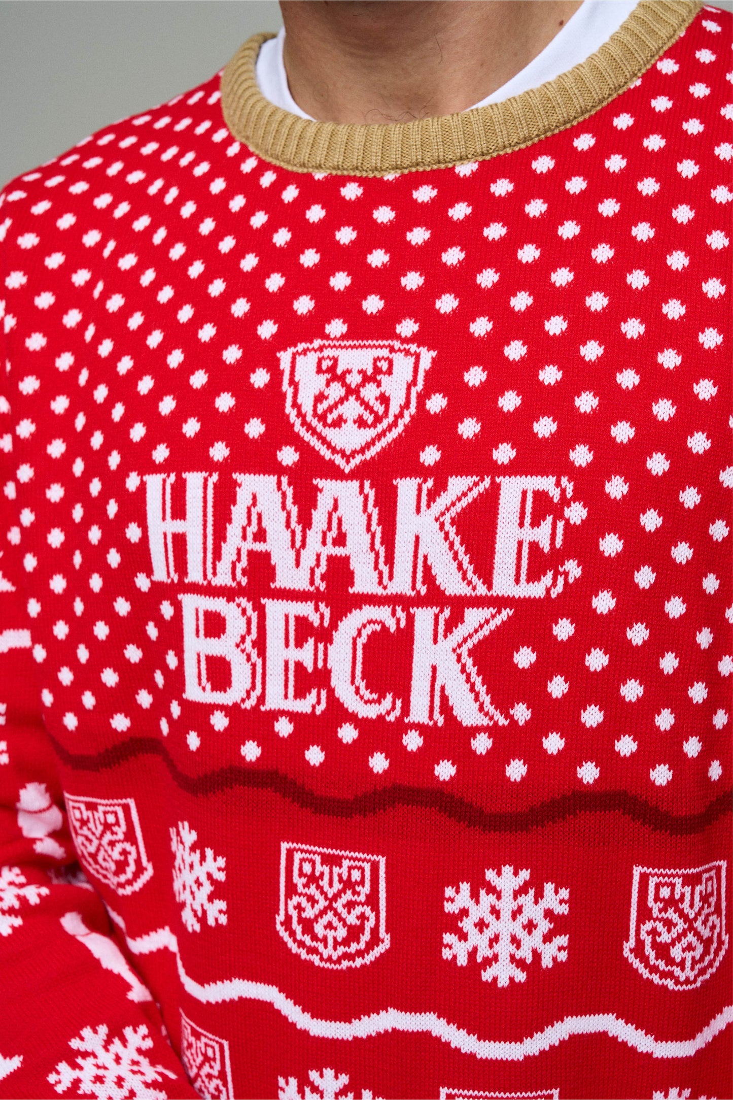 Haake-Beck Christmas Sweater